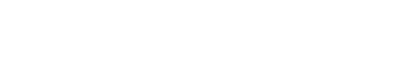 Loosid logo